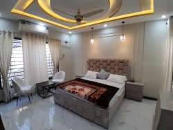 Immigration Consultants - Topline Study