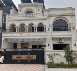 Immigration Consultants - Topline Study