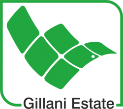 Real Estate Service - Gillani Estate & Builders