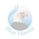 Security Management - Blue Hawks Security & Management Services (Pvt.) Ltd.