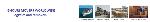 Web Design Service - Ghouri Logistics (PVT)Ltd